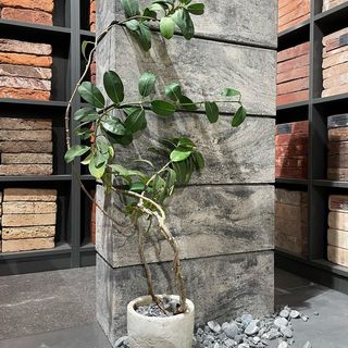 Инстаграм-2