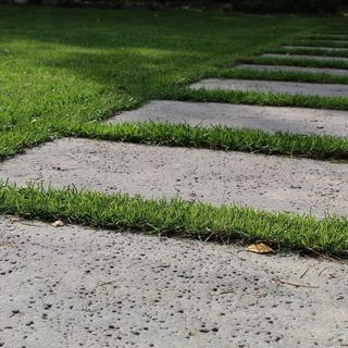 Инстаграм-5